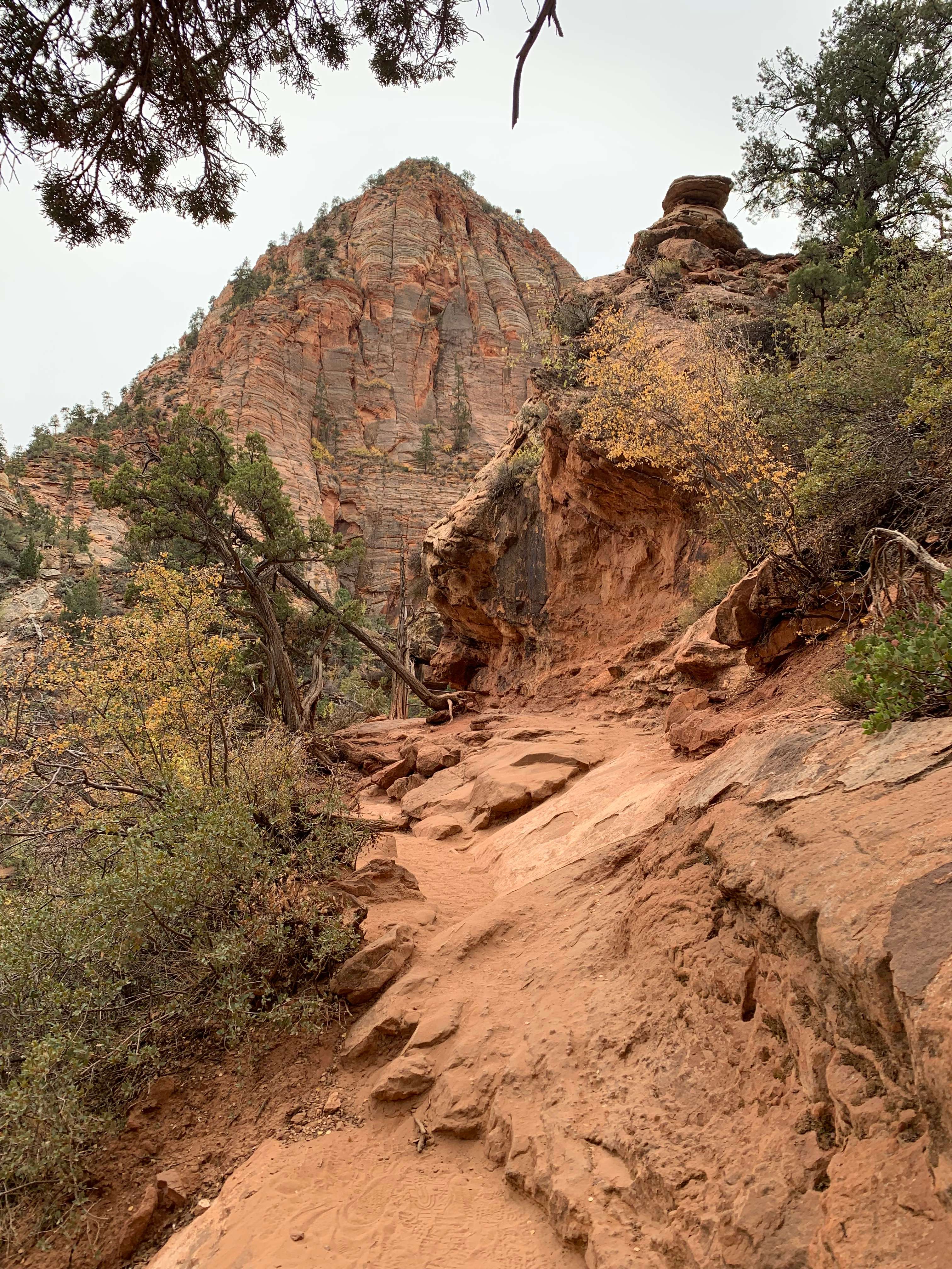 Zion NP